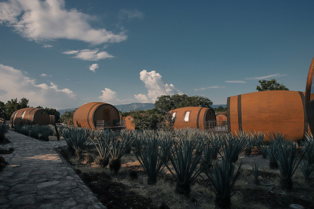Tequila